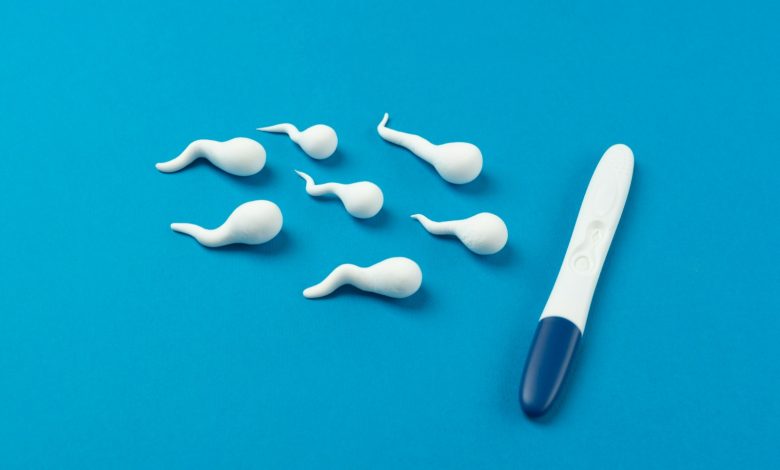 A verdade que muitos homens não sabem sobre fimose e fertilidade