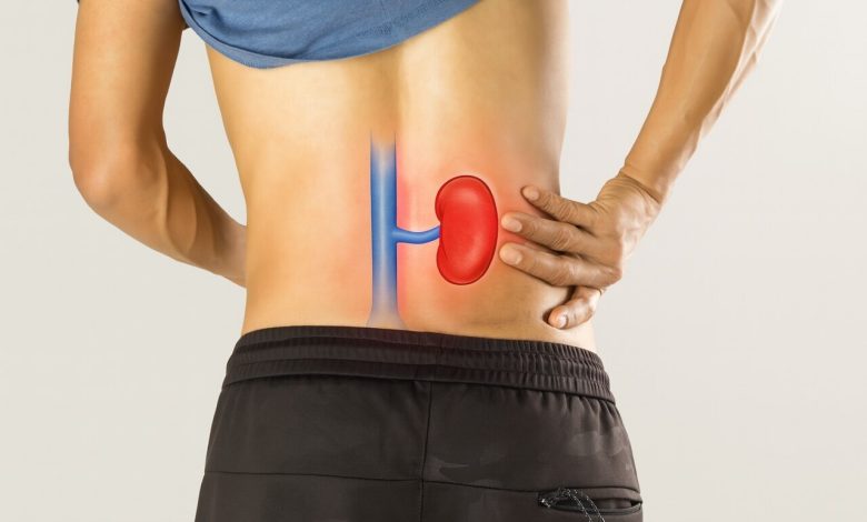 É possível viver com um rim só. Mas por que alguém perde um deles