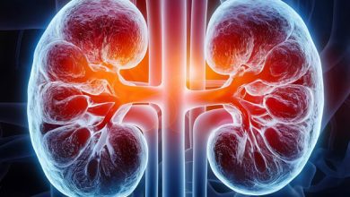 Sal, álcool e calor : o trio que sobrecarrega seus rins